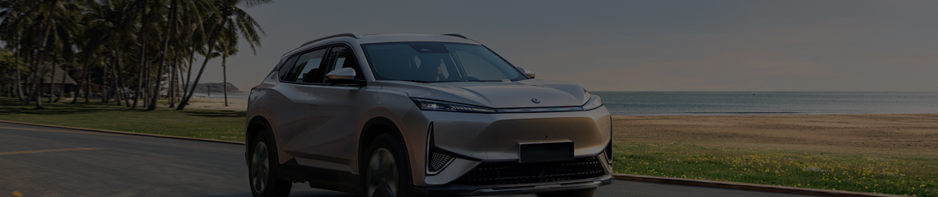 Used Car