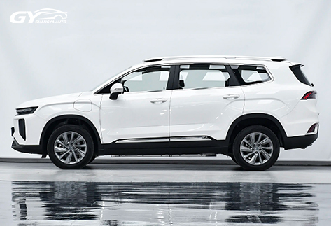 2023-Ruilan-9-6-7-Seat-Fast-Battery-Swap-Electric-SUV-for-Global-Export16